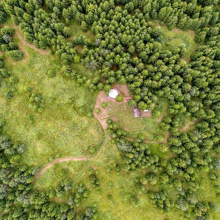 Kuusehaldja Glamping Hotel Kohila Ngoại thất bức ảnh